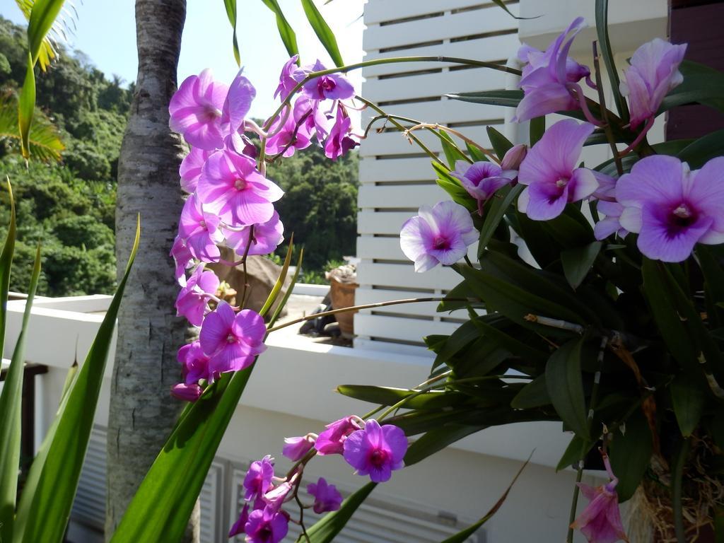 Kata Beach Studio Phuket Dış mekan fotoğraf